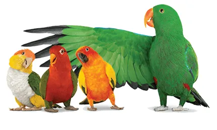 Telus EPP Offer