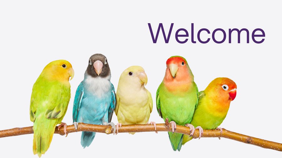 Telus EPP Offer